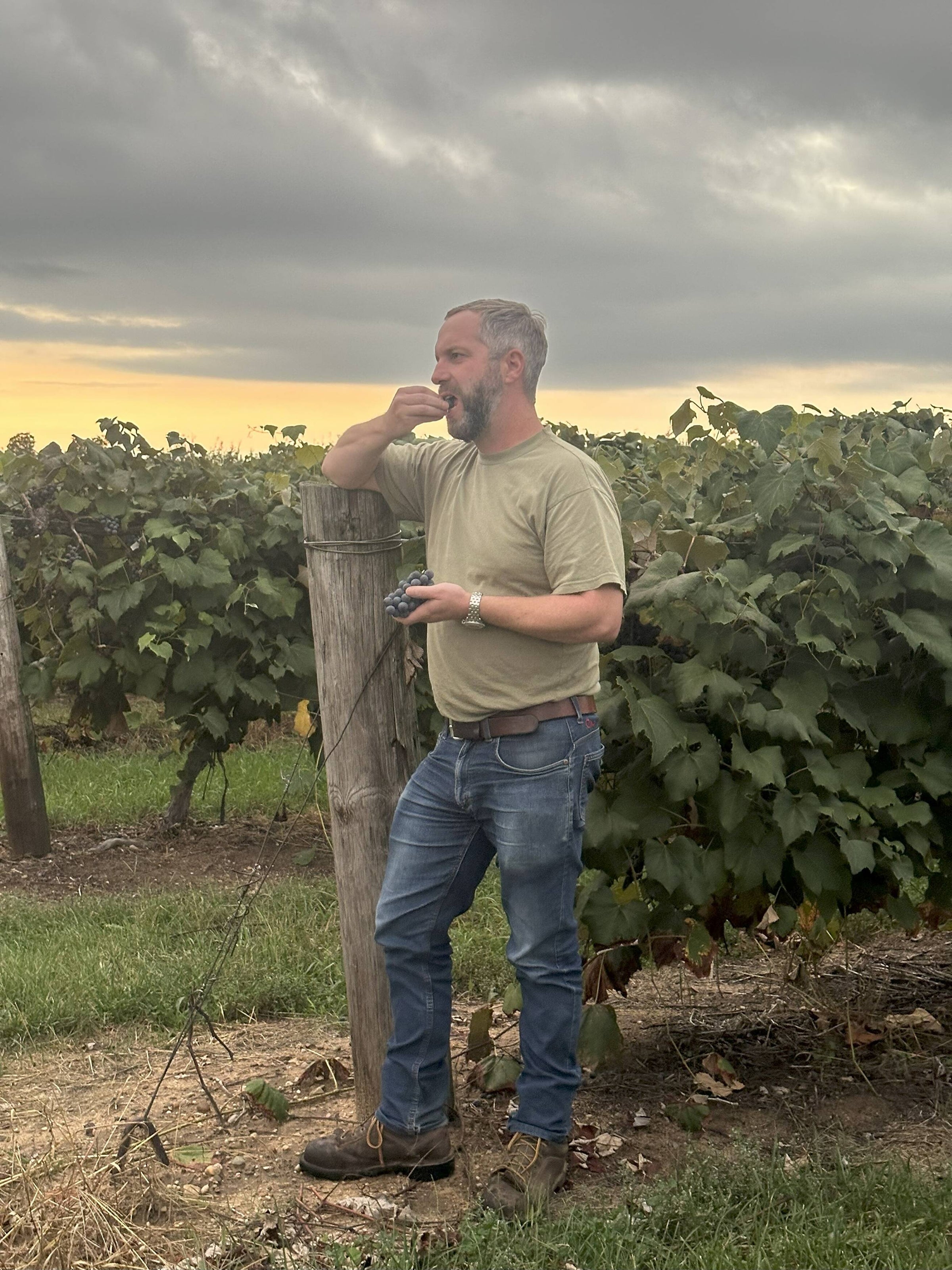 The Juicy Joy of Michigan Concord Grapes | Schultz Fruitridge Farms